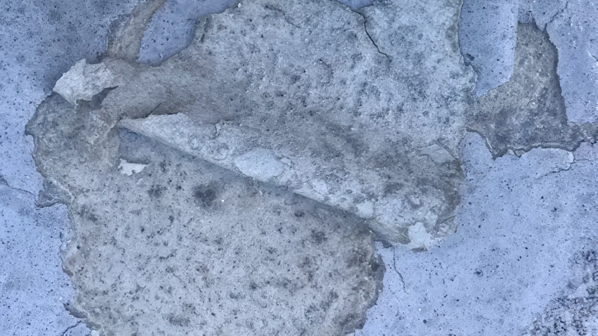 Broward Trade Center